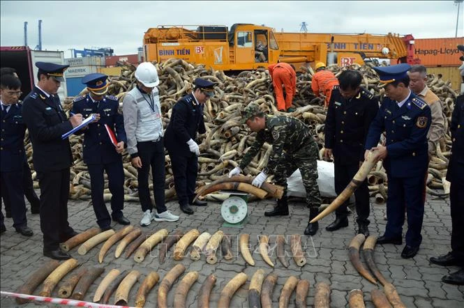 Education For Nature –vietnam Working To Reduce Ivory Demand 