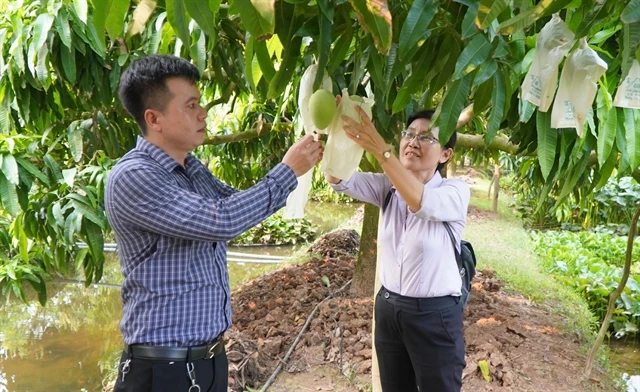 Dong Thap province develops agricultural tourism | Vietnam+ (VietnamPlus)
