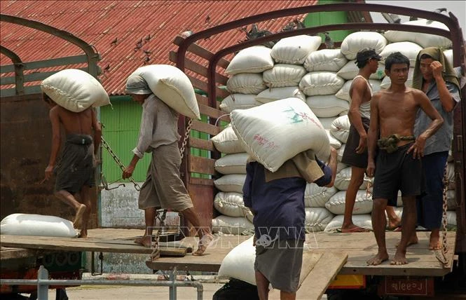 Myanmar eyes to increase rice exports in coming months | Vietnam+ ...