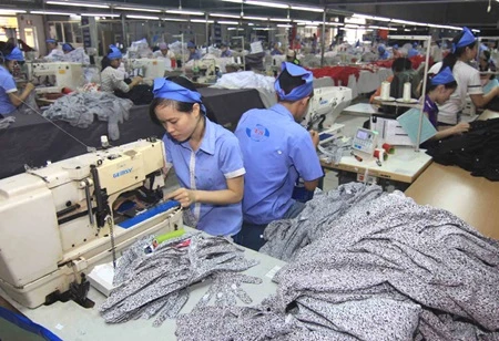 Vietnam stands to gain from regional trade pact enforcement | Vietnam+ ...