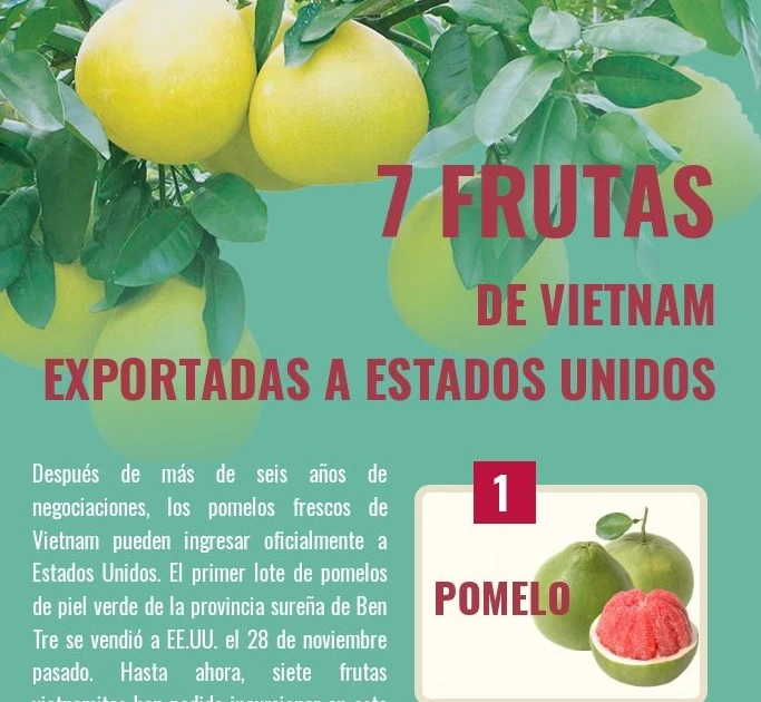 Siete frutas de Vietnam exportadas a Estados Unidos | Vietnam+