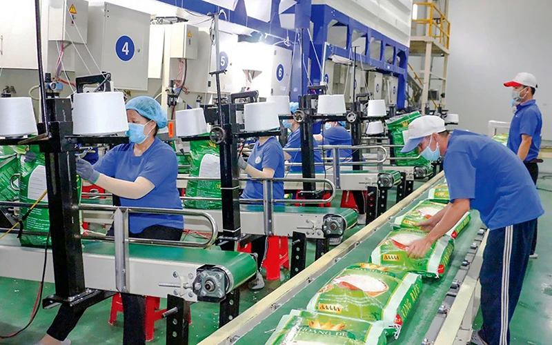 Les Exportations De Riz Et De Caf Retrouvent Le Bon Rythme Vietnam