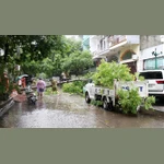 Les forces compétentes commencent à nettoyer les dégâts dans la ville de Ha Long après le passage du typhon Prapiroon. Photo : VNA