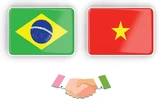Vietnam-Brazil Comprehensive Partnership