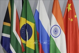 Flags of some BRICS members countries. (File photo: AFP/VNA)