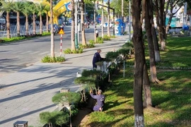 Workers take care of trees in Phan Rang - Thap Cham city, Ninh Thuan province. (Photo: VNA)