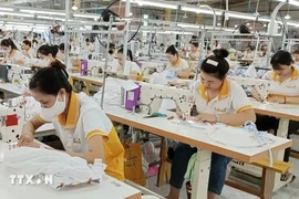 A garment factory in Vietnam (Illustrative photo: VNA)
