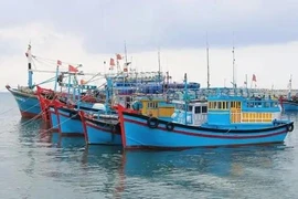 Vietnam has been working hard to carry out the EC’s recommendations about IUU fishing prevention and control. (Illustrative photo: VNA)