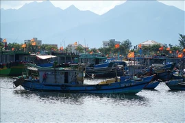 Vessels at the Tho Quang fishery port off Son Tra district, Da Nang city (Photo: VNA)