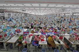 Production at SCAVI Hue in Thua Thien - Hue province. The S&P Global Vietnam Manufacturing Purchasing Manager’s Index (PMI) rose sharply to 54.7 in June from 50.3 in May. (Photo: VNA)