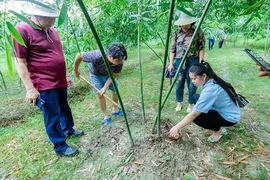 Tourists experience cultivating bamboo at an agricultural tourism model in Bac Giang province. (Photo: Nhan dan Newspaper)