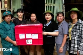 Relief from the Australian Embassy is presented to typhoon-hit residents in Hong Ha ward of Yen Bai city, Yen Bai province, on September 13. (Photo: VNA)