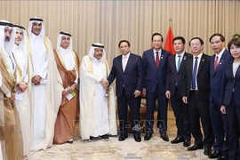 PM Pham Minh Chinh (sixth from right) receives the delegation of Qatari enterprises in Doha on October 31. (Photo: VNA)