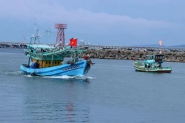 Fishing vessels in the Duong Dong river mouth of Phu Quoc island city, Kien Giang province (Photo: VNA)