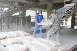 Workers load cement bags on a truck at a factory. (Photo: VNA)