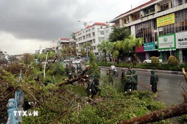 Authorities clear fallen trees on a road in Quang Ninh province after Typhoon Yagi in early September. (Photo: VNA)