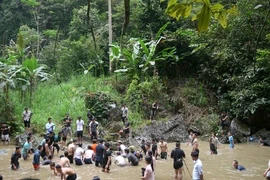 La pêche à mains nues dans le ruisseau de Lâm Bình, une fête originale à Tuyên Quang