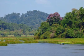 Le parc national de Cat Tien, un joyau du Vietnam dans la Liste verte des aires protégées