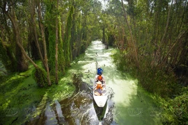 Long An : Nature, culture et authenticité