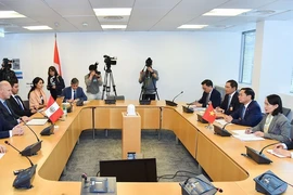 El ministro de Relaciones Exteriores de Vietnam, Bui Thanh Son, se reunió con su homólogo peruano, Javier González Olaechea. (Fuente:VNA)