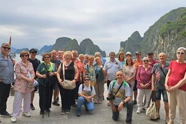 Turistas españoles visitan la Bahía de Ha Long. (Fuente:nhandan.vn)