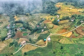 Revista extranjera se maravilla con encantadora paleta de colores del otoño de Sa Pa