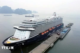 Vietnam busca promover el potencial del turismo de cruceros