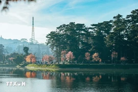 Lago de Xuan Huong en Da Lat. (Fuente:VNA)