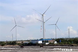 La zona económica clave en el sur de la provincia central de Ninh Thuan atrae a numerosas empresas para invertir en el campo de energías renovables. (Fuente: VNA)