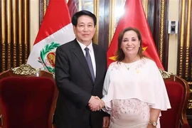 La presidenta de Perú, Dina Ercilia Boluarte Zegarra, y su homólogo vietnamita, Luong Cuong. (Fuente: VNA)