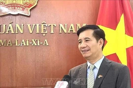 El embajador de Vietnam en Malasia, Dinh Ngoc Linh. (Fuente: VNA)