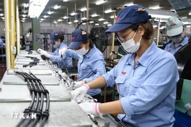 Línea de producción de tubos y conductos de frenos para motos y automóviles de la empresa Nichirin Vietnam, de 100% inversión japonesa, en la provincia de Bac Giang. (Fuente: VNA)