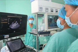 El equipo de médicos del Hospital Central de Hue dirige la realización de un trasplante de órganos procedentes de un donante con muerte cerebral en el Hospital Vietnam-Suecia en Uong Bi, provincia de Quang Ninh. (Fuente: VNA)