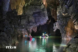 Los turistas visitan el complejo de cuevas en el Parque Nacional Phong Nha-Ke Bang. (Fuente: VNA)