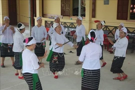 En la comuna de Giai Xuan, distrito de Tan Ky, se han establecido clubes de gong, canto, baile y tejido de hamacas. (Fuente: VNA)