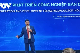 越南软件与信息技术服务协会主席张嘉平在研讨会上发表讲话。图自越南之声