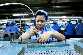 美国专家：越南在半导体产业发展潜力巨大