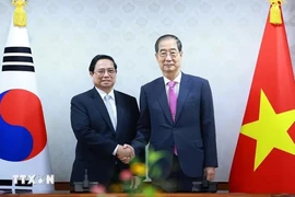 越南外交部长裴青山：范明政此次访韩取得丰硕成果