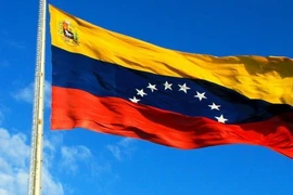 委内瑞拉国旗。图自互联网