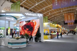 第八届中国—南亚博览会制定越南馆。图自越通社