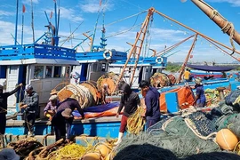Le Vietnam s'efforce de développer une pêche durable et moderne d'ici 2050