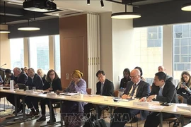Lors de la réunion des ambassadeurs du Groupe des amis de l'éducation et de l'apprentissage tout au long de la vie à New York. Photo: VNA