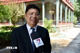 Le professeur Xu Liping, directeur du Centre d'études sur l'Asie du Sud-Est de l'Académie chinoise des sciences sociales. Photo: VNA