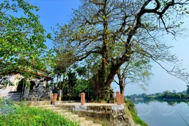 Phuoc Tich - le plus beau village antique de Huê