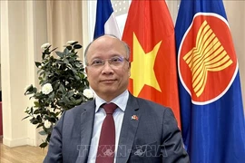 L'ambassadeur du Vietnam en France Dinh Toan Thang. Photo: VNA