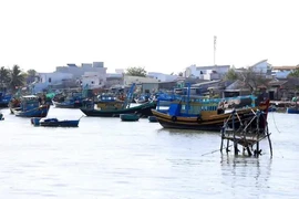 La province de Binh Thuan (Centre) poursuivra des efforts et est déterminée à se joindre à l'ensemble du pays pour faire retirer le "carton jaune" imposé par la Commission européenne (CE) sur les produits halieutiques vietnamiens. Photo ; VNA