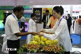 Des produits agro-alimentaires vietnamiens au World Food India 2024. Photo : VNA