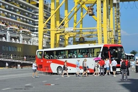 Les croisiéristes du Noordam prennent le bus pour visiter la ville de Da Nang. Photo : VNA