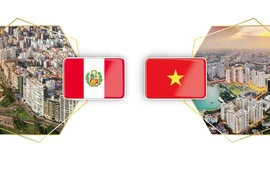 Relaciones de amistad y cooperación Vietnam - Perú