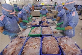 La transformation de filets de poisson Tra destinés à l'exportation dans une usine de la société d'import-export Cuu Long An Giang. Photo : VNA